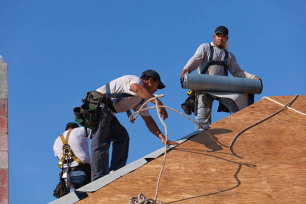 Best Roof Gutter Cleaning  in Harvey, LA